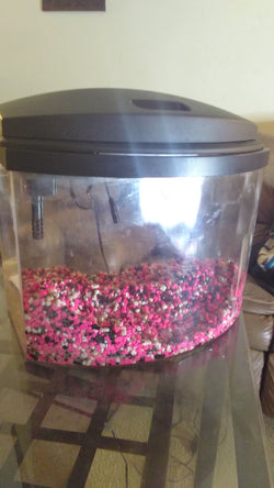 Fish tank