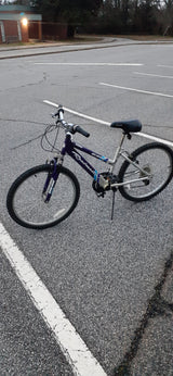 Shimano Roadmaster Mt. Sport SX   (Local pick up only)**