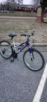 Shimano Roadmaster Mt. Sport SX   (Local pick up only)**